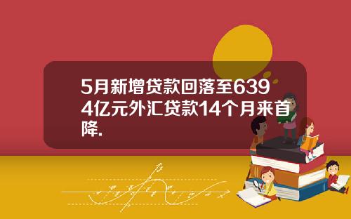 5月新增贷款回落至6394亿元外汇贷款14个月来首降.