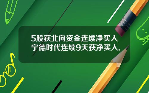5股获北向资金连续净买入宁德时代连续9天获净买入.