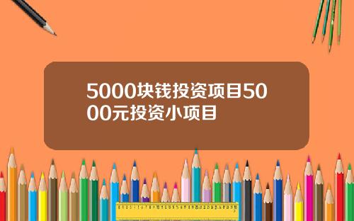 5000块钱投资项目5000元投资小项目