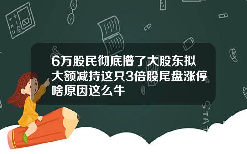 6万股民彻底懵了大股东拟大额减持这只3倍股尾盘涨停啥原因这么牛