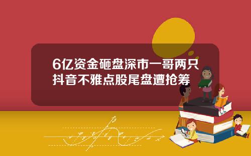 6亿资金砸盘深市一哥两只抖音不雅点股尾盘遭抢筹