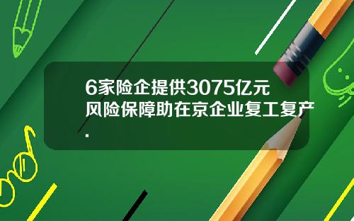 6家险企提供3075亿元风险保障助在京企业复工复产.