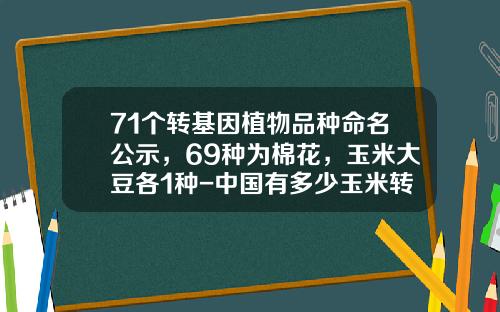 71个转基因植物品种命名公示，69种为棉花，玉米大豆各1种-中国有多少玉米转基因品种