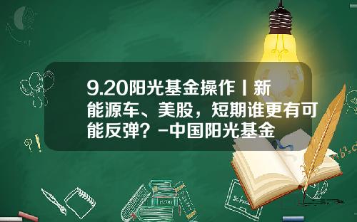 9.20阳光基金操作丨新能源车、美股，短期谁更有可能反弹？-中国阳光基金