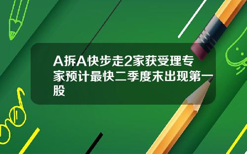 A拆A快步走2家获受理专家预计最快二季度末出现第一股
