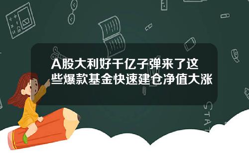 A股大利好千亿子弹来了这些爆款基金快速建仓净值大涨