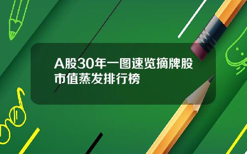 A股30年一图速览摘牌股市值蒸发排行榜
