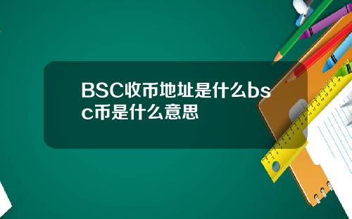 BSC收币地址是什么bsc币是什么意思