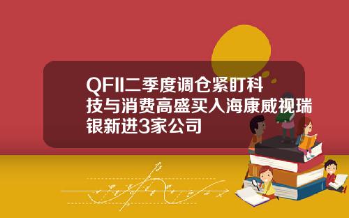 QFII二季度调仓紧盯科技与消费高盛买入海康威视瑞银新进3家公司