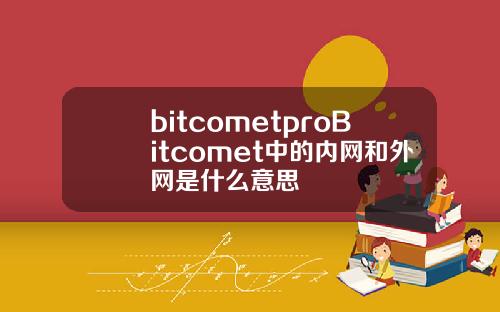 bitcometproBitcomet中的内网和外网是什么意思