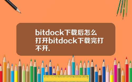 bitdock下载后怎么打开bitdock下载完打不开.