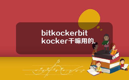 bitkockerbitkocker干嘛用的.