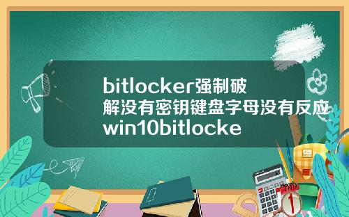 bitlocker强制破解没有密钥键盘字母没有反应win10bitlocker强制破解没有密钥.