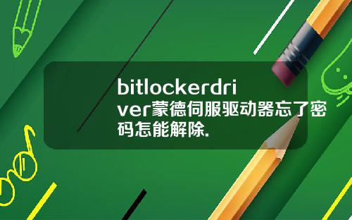 bitlockerdriver蒙德伺服驱动器忘了密码怎能解除.