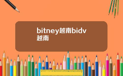 bitney越南bidv越南