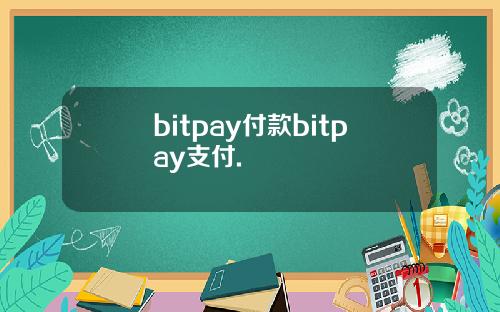 bitpay付款bitpay支付.