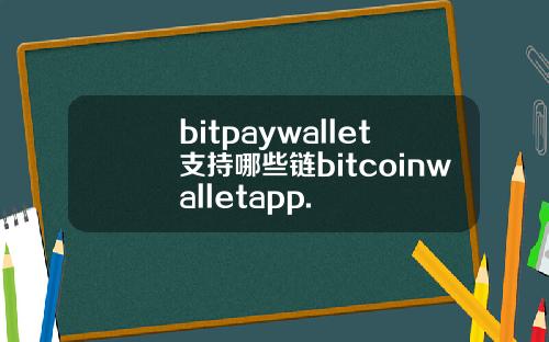 bitpaywallet支持哪些链bitcoinwalletapp.