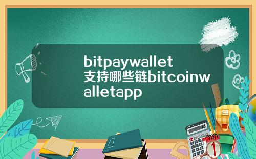 bitpaywallet支持哪些链bitcoinwalletapp