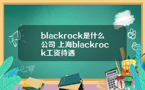 blackrock是什么公司 上海blackrock工资待遇