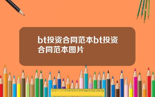 bt投资合同范本bt投资合同范本图片