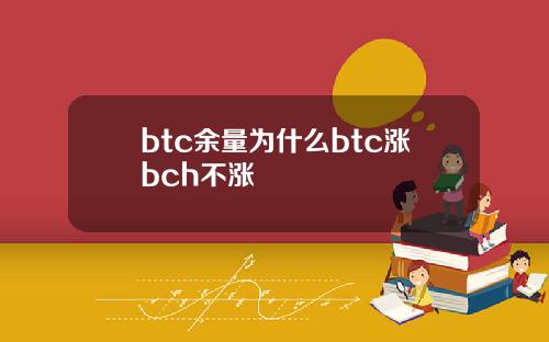 btc余量为什么btc涨bch不涨