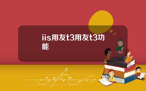 iis用友t3用友t3功能