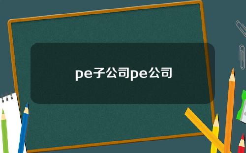 pe子公司pe公司