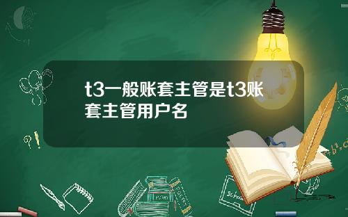 t3一般账套主管是t3账套主管用户名