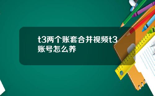 t3两个账套合并视频t3账号怎么养