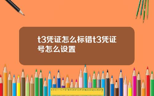 t3凭证怎么标错t3凭证号怎么设置