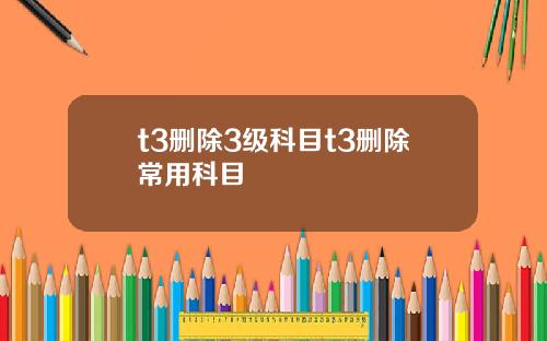 t3删除3级科目t3删除常用科目