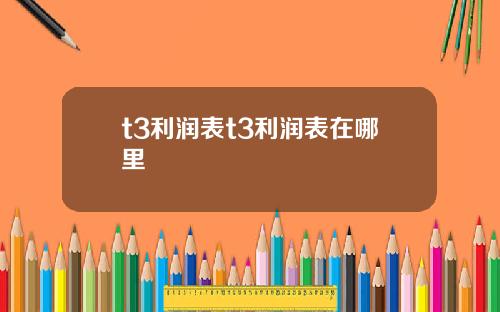 t3利润表t3利润表在哪里