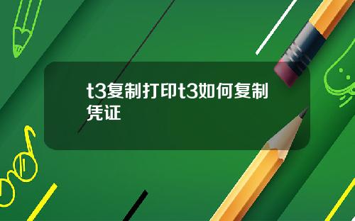 t3复制打印t3如何复制凭证