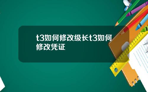 t3如何修改级长t3如何修改凭证