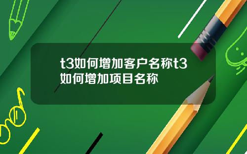t3如何增加客户名称t3如何增加项目名称