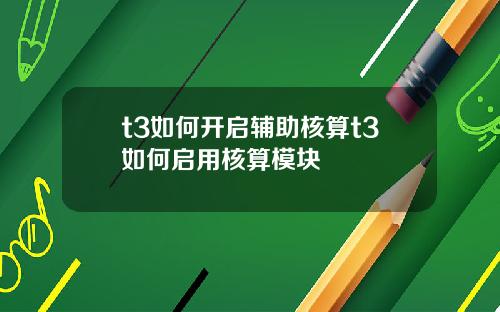 t3如何开启辅助核算t3如何启用核算模块