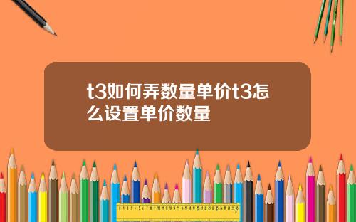 t3如何弄数量单价t3怎么设置单价数量