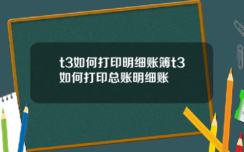 t3如何打印明细账簿t3如何打印总账明细账