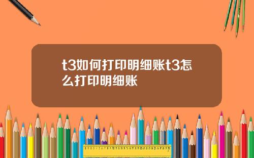 t3如何打印明细账t3怎么打印明细账