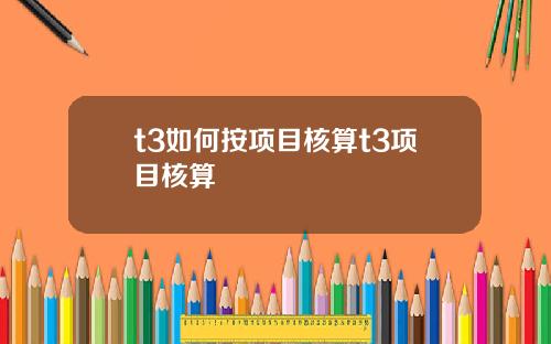 t3如何按项目核算t3项目核算