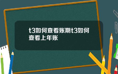 t3如何查看账期t3如何查看上年账