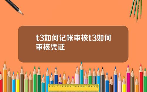 t3如何记帐审核t3如何审核凭证