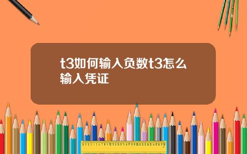 t3如何输入负数t3怎么输入凭证