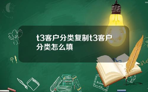 t3客户分类复制t3客户分类怎么填