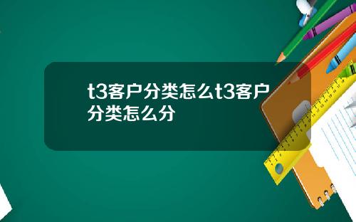 t3客户分类怎么t3客户分类怎么分