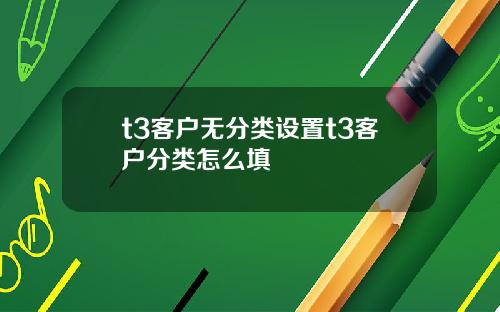t3客户无分类设置t3客户分类怎么填