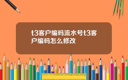 t3客户编码流水号t3客户编码怎么修改