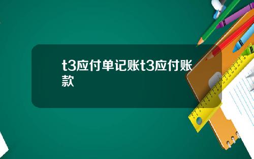 t3应付单记账t3应付账款