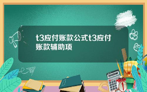 t3应付账款公式t3应付账款辅助项