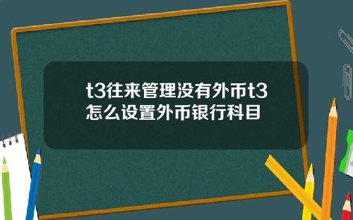 t3往来管理没有外币t3怎么设置外币银行科目